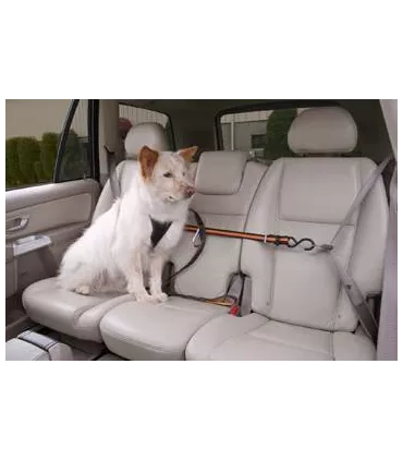 Kurgo Leash & Zip Line Combo - accessoire transport pour chien