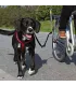Biker-Set pour moyens & grands chiens