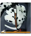 Kurgo Direct to Seatbelt Tether - ceinture de sécurité pour chien 