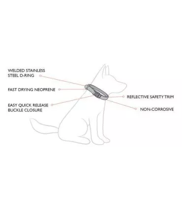 Ezy Dog Neo - collier pour chien