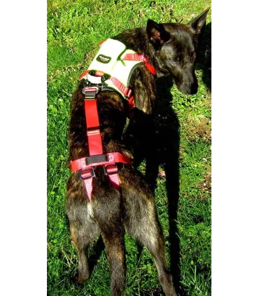 Kronos - harnais de suspension pour chien