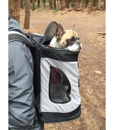 Timon - sac à dos de transport pour chien 
