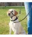 Trixie Top Trainer - Harnais d'éducation pour chien