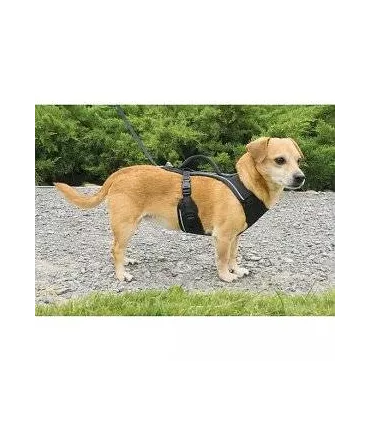 Petsafe Easysport - harnais pour chien