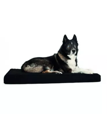 Back on Track matelas Welltex pour chien