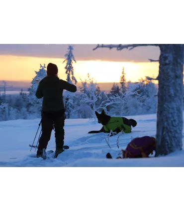 Axaeco Ice Olation - manteau d'hiver pour chien