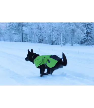 Axaeco Ice Olation - manteau d'hiver pour chien