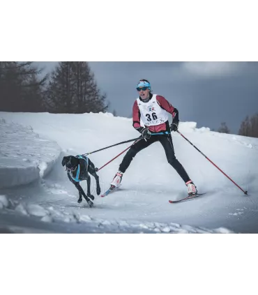Inlandsis Skijor Pro - laisse skijoring