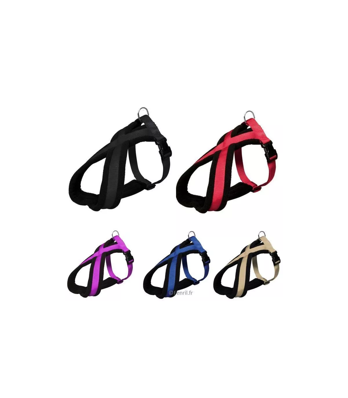 Laisse Canicross Ceinture Pour Chien - Élastique Absorbant Les Chocs, Mains Libres - Inclut Collier, Pour Chiens Moyens/grands